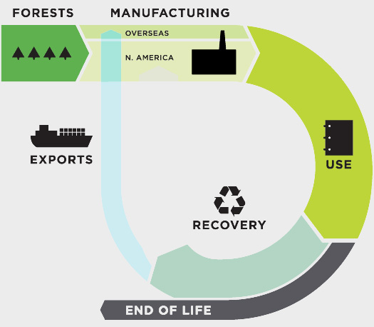 Paper Life Cycle