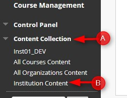 Within one of your courses, click Content Collection and then Institution Content.