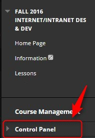In your course, click on the Control Panel.