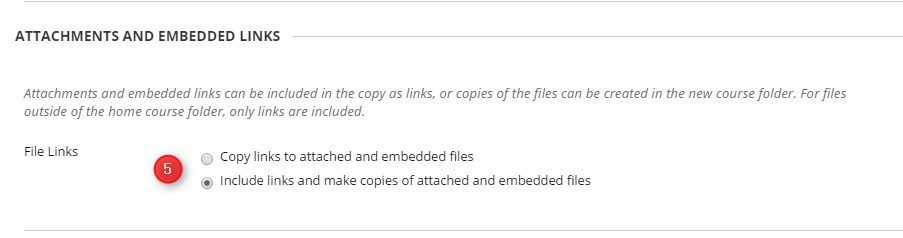 Click Include Links and make copies of attached and embedded files