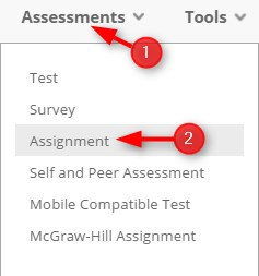 Click Assessments and Click Assignment