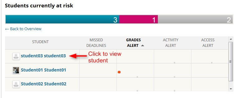 Click the student’s name to open a window with more details on the risk factors.
