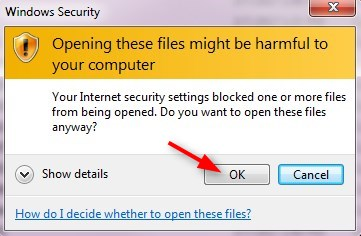 Click OK on the Security window 
