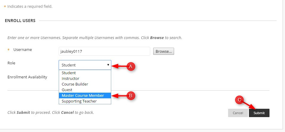 Click down arrow by Role and select Master Course Member and Submit 