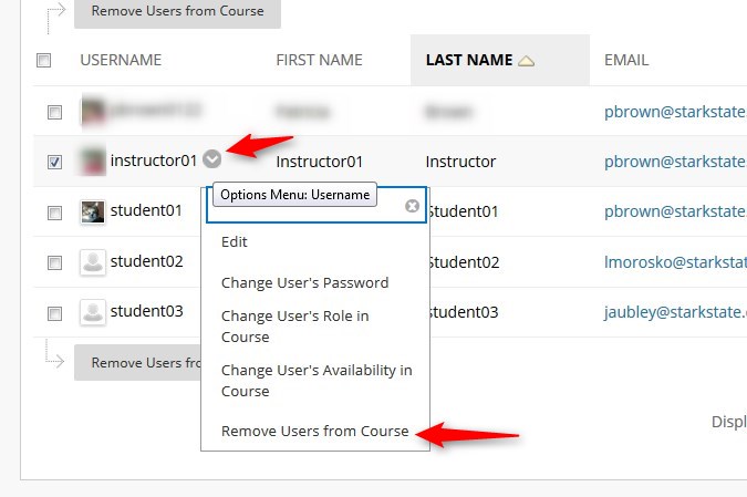 Now that the faculty role has changed to student, you can click on the down arrow and then click Remove Users form Course