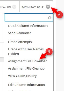 Go to the assignment column, click the down arrow and then click Assignment File Cleanup.