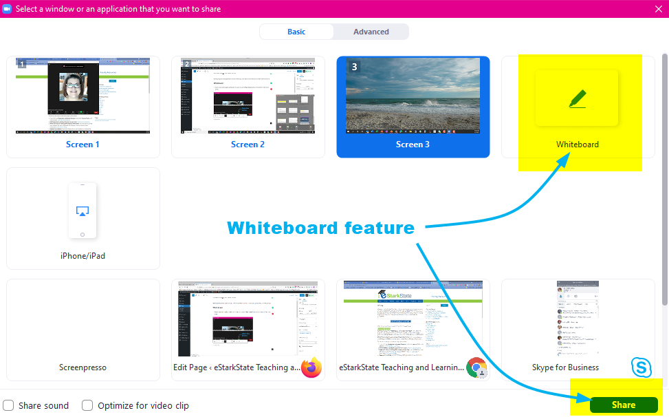 This image depicts the available screens and programs available to share in Zoom. Click the Whiteboard button and then click the share button.