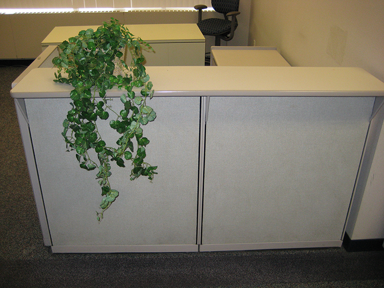 RECEPITIONIST COUNTER