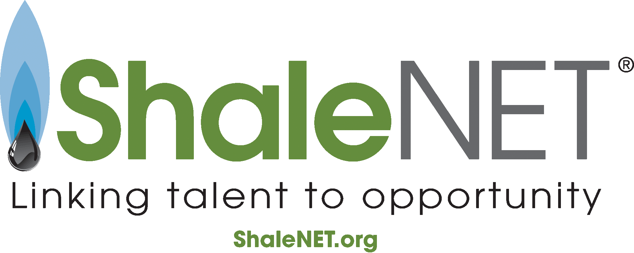 ShaleNet