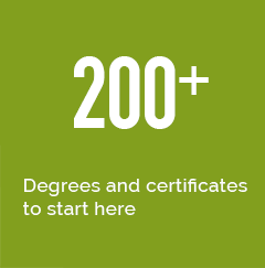 200 degrees and certificates