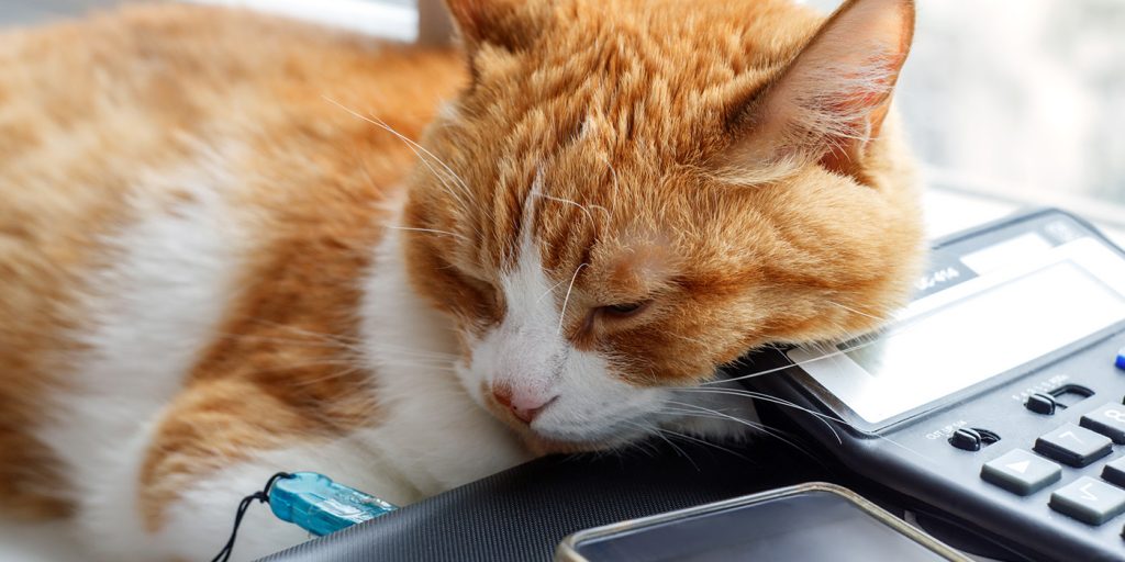 Veterinary Office Manager