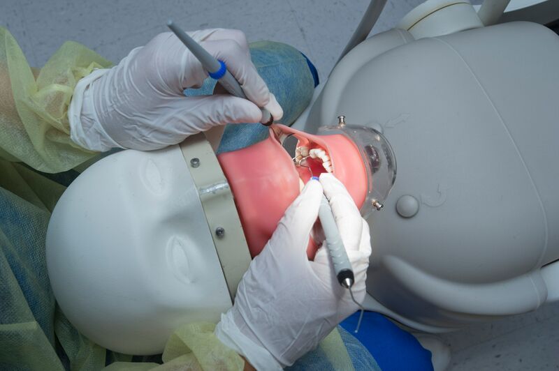 Hands working in mouth, dental hygiene simulator