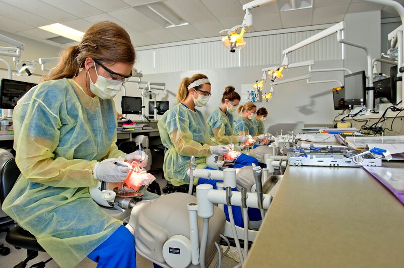 Dental hygiene students working in simulator lab