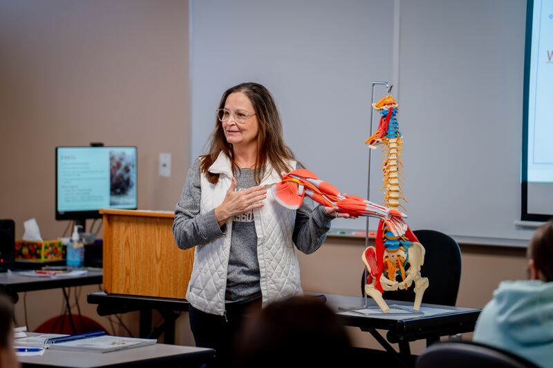 Massage therapy, female instructor showing arm muscles with simulated arm