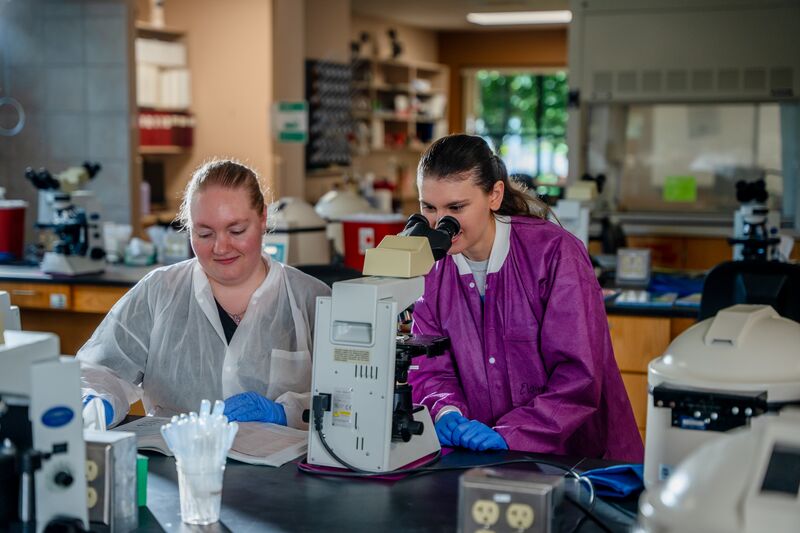 Medical laboratory, two female students working in lab, microscope