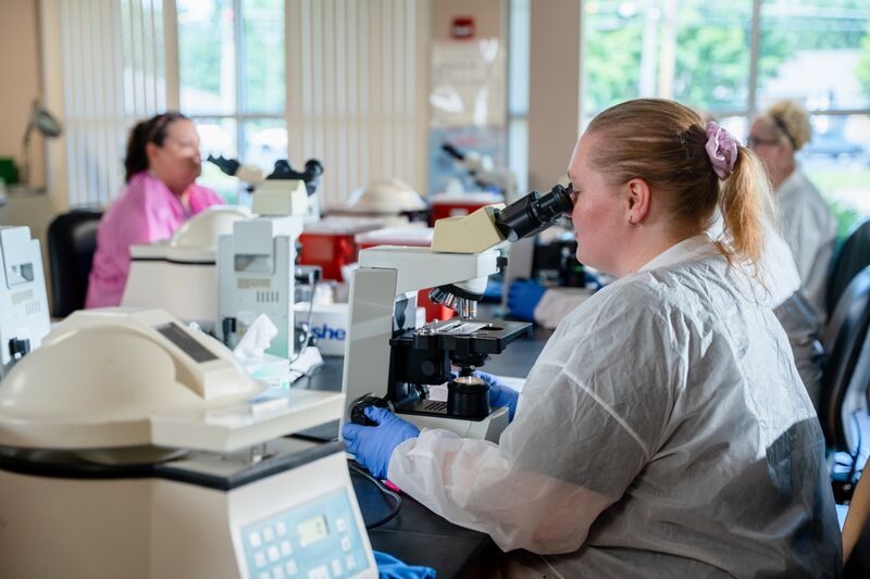Medical laboratory, students looking through microscopes