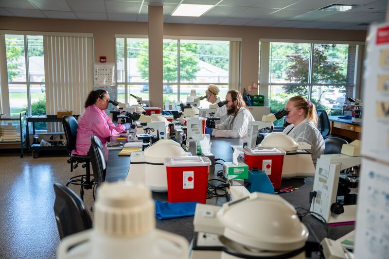 Medical laboratory, students looking through microscopes